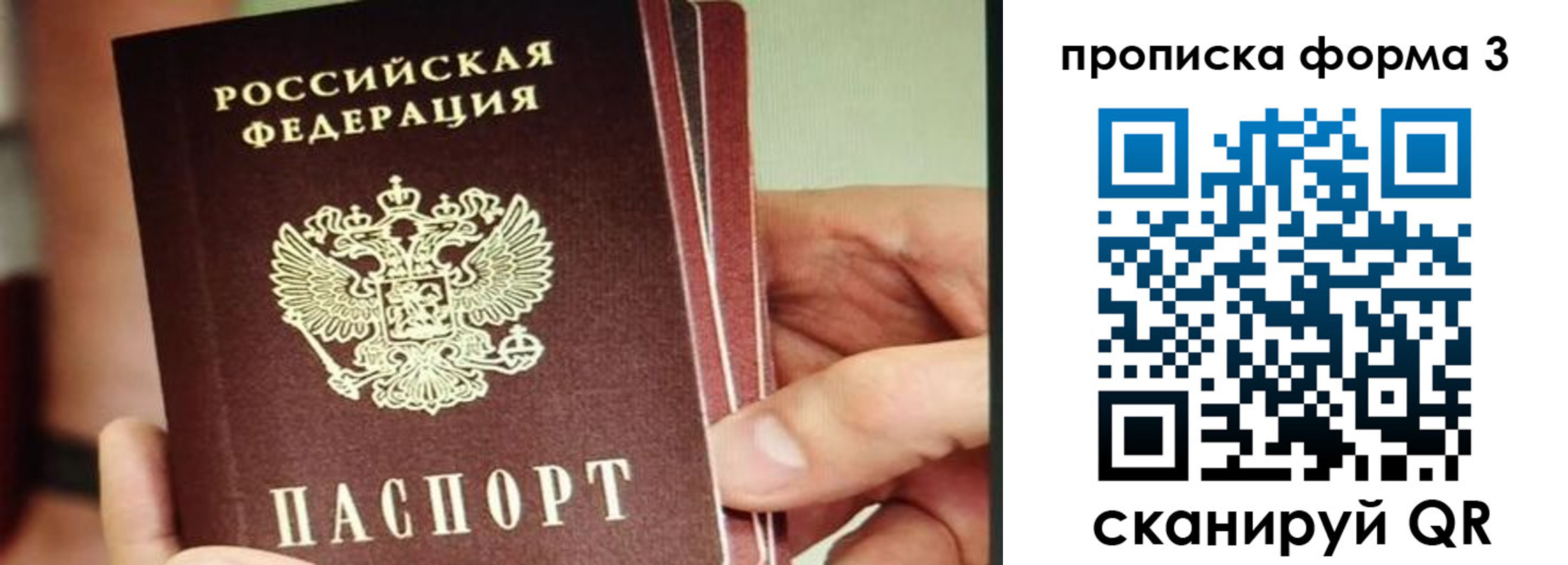 прописка законно в Волгограде